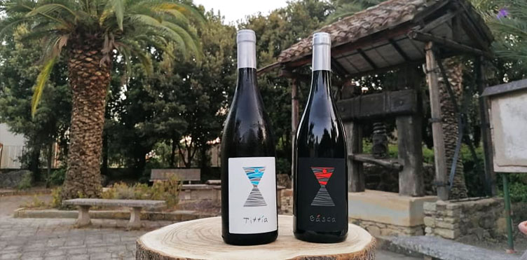 Cantine Pedra Niedda Septemberintuili september in tuili 2019